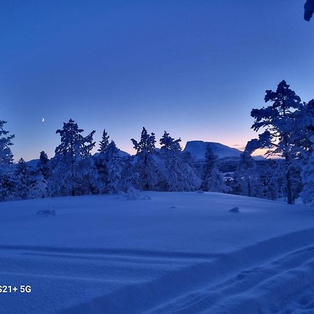 Malangen Lodge Mestervik Bagian luar foto