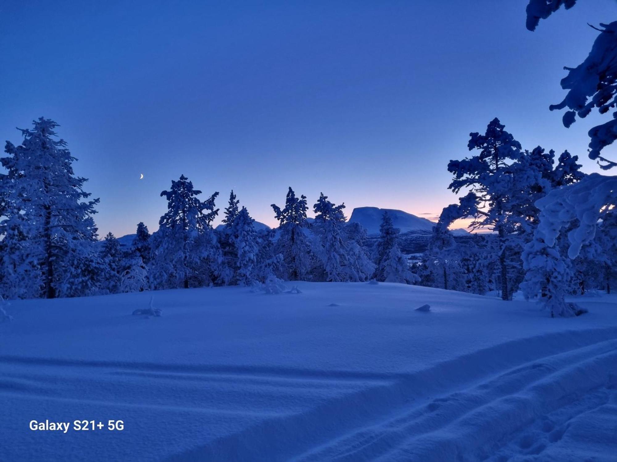 Malangen Lodge Mestervik Bagian luar foto