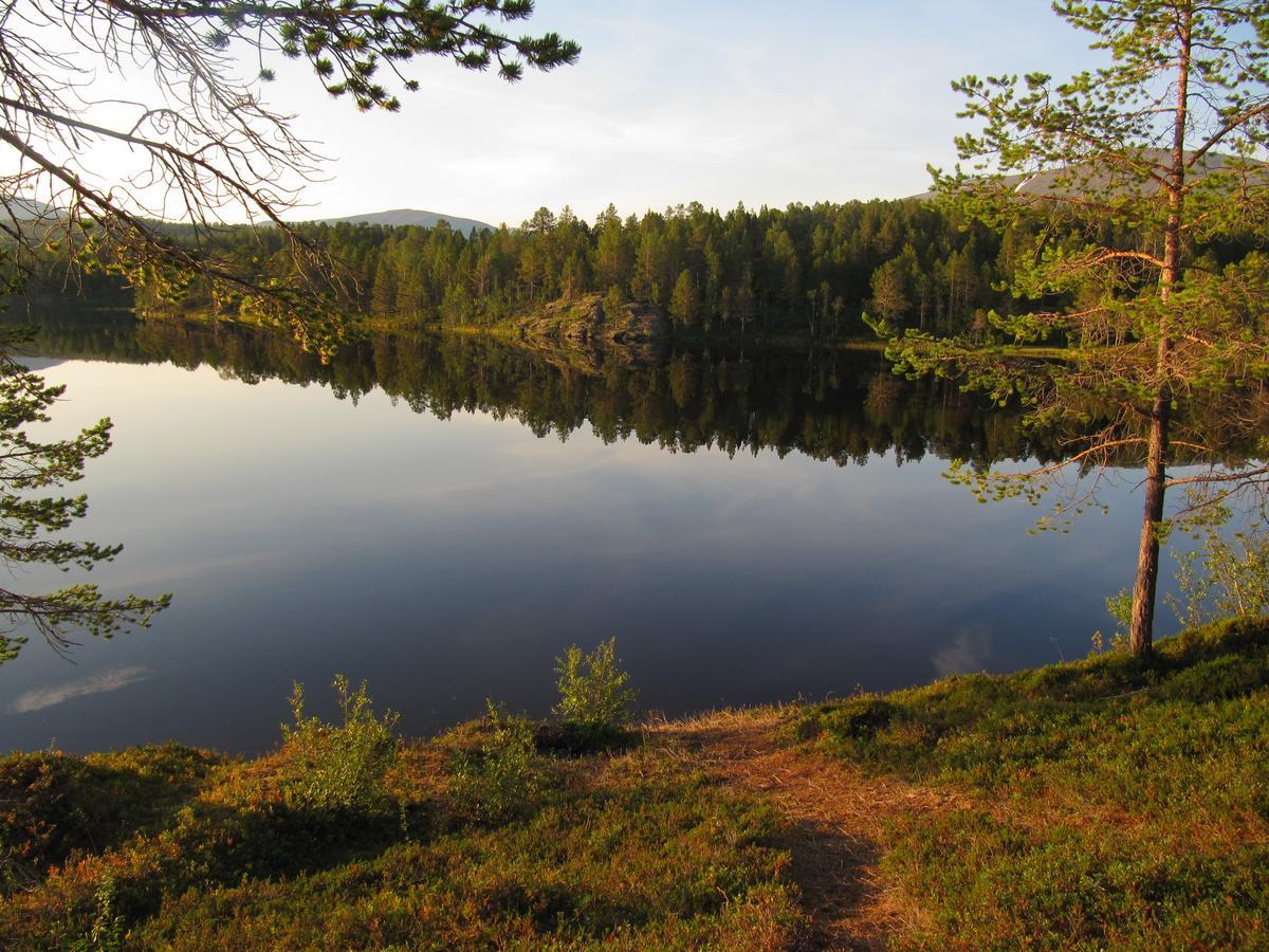 Malangen Lodge Mestervik Bagian luar foto