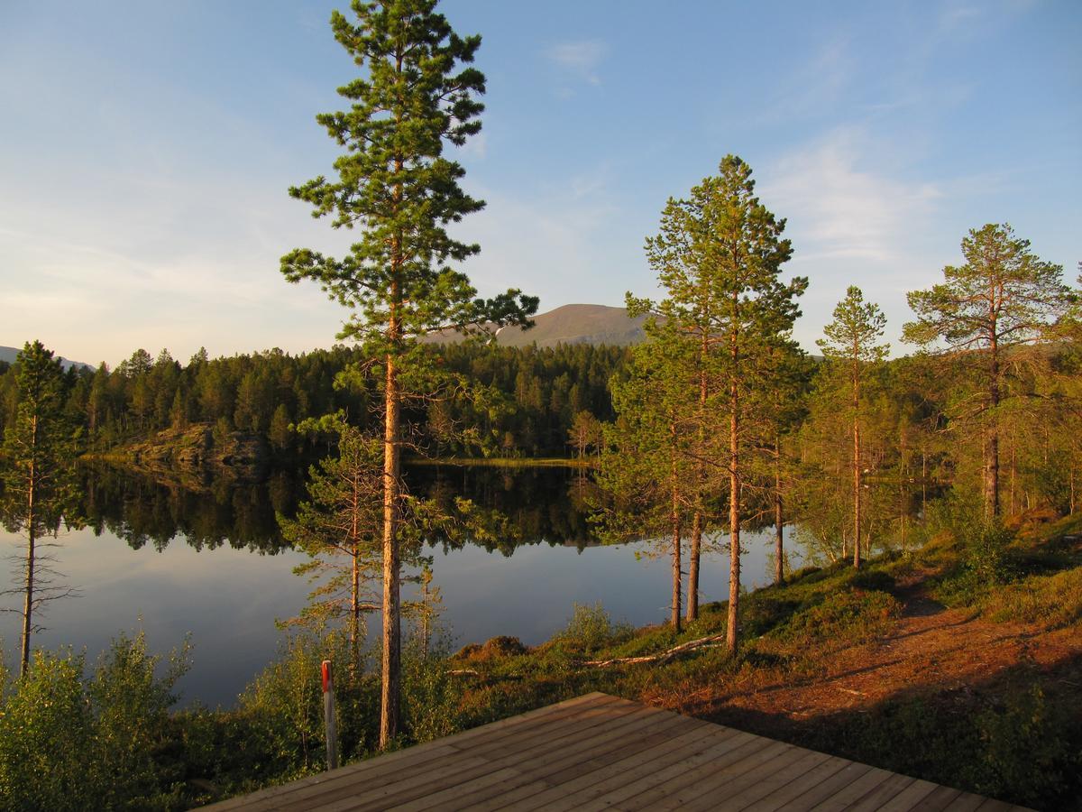 Malangen Lodge Mestervik Bagian luar foto