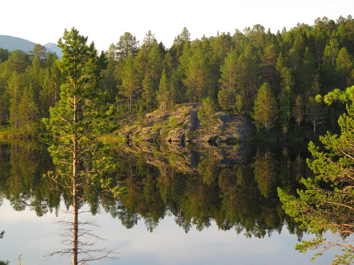 Malangen Lodge Mestervik Bagian luar foto