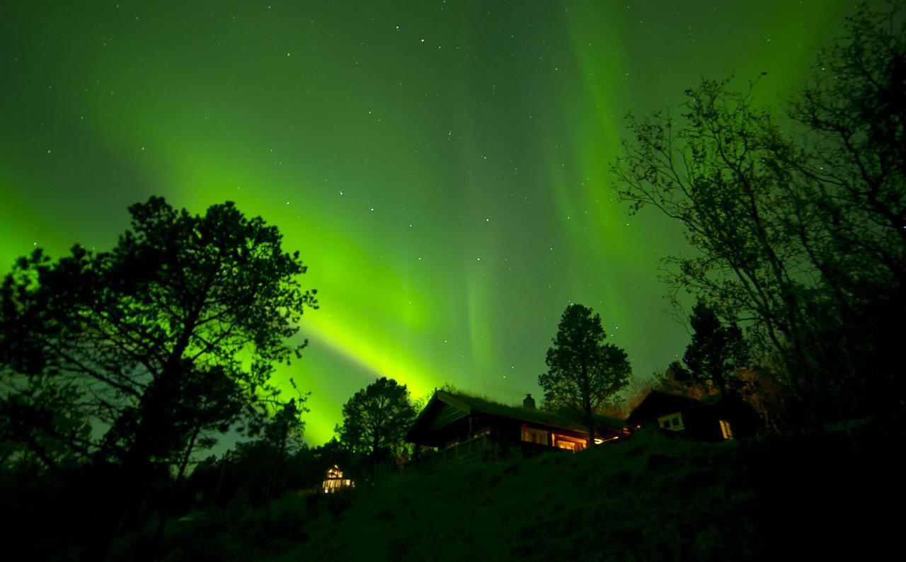 Malangen Lodge Mestervik Bagian luar foto