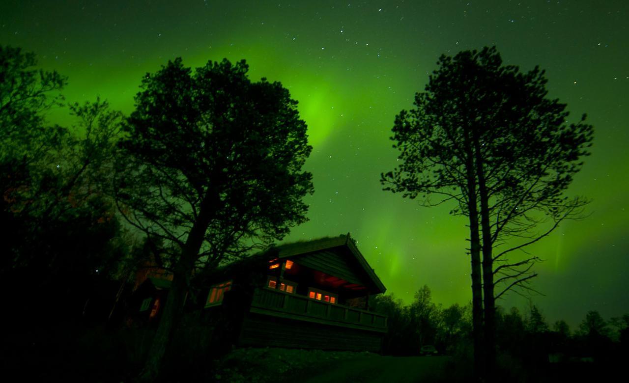 Malangen Lodge Mestervik Bagian luar foto