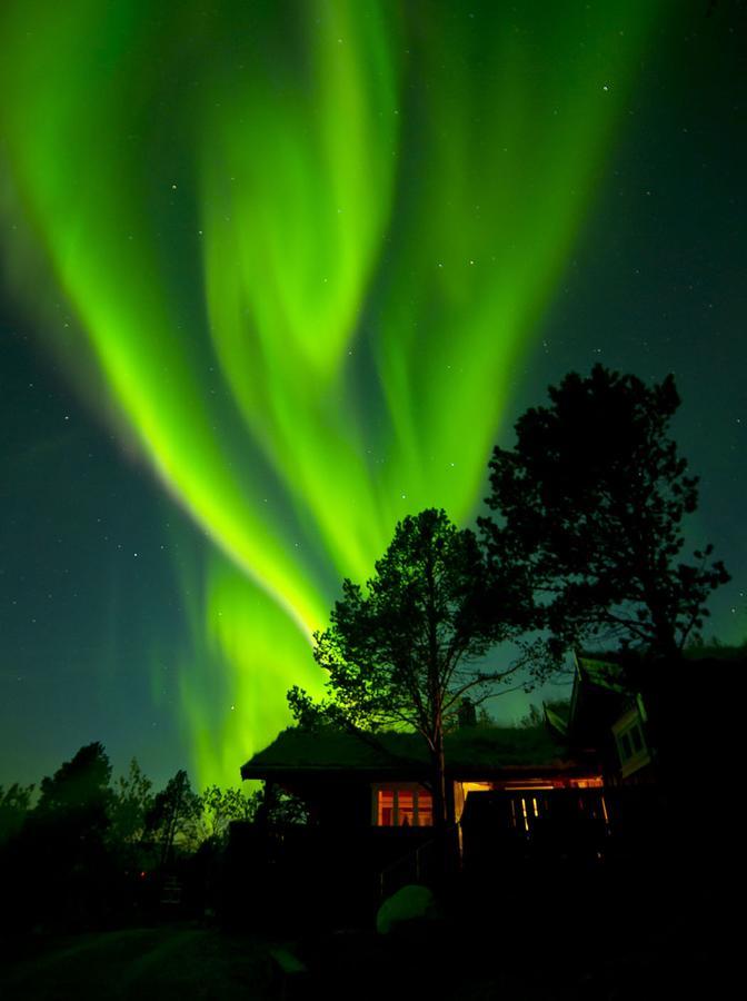 Malangen Lodge Mestervik Bagian luar foto