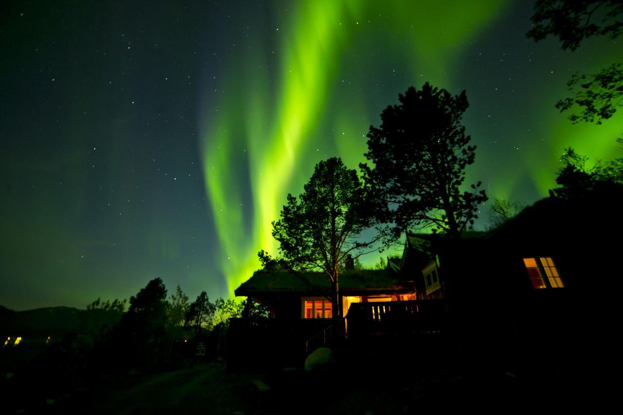 Malangen Lodge Mestervik Bagian luar foto