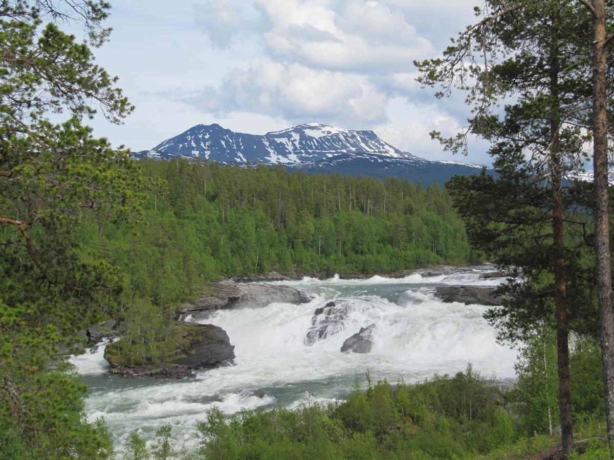 Malangen Lodge Mestervik Bagian luar foto