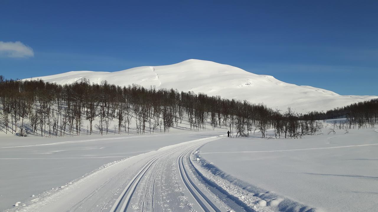 Malangen Lodge Mestervik Bagian luar foto