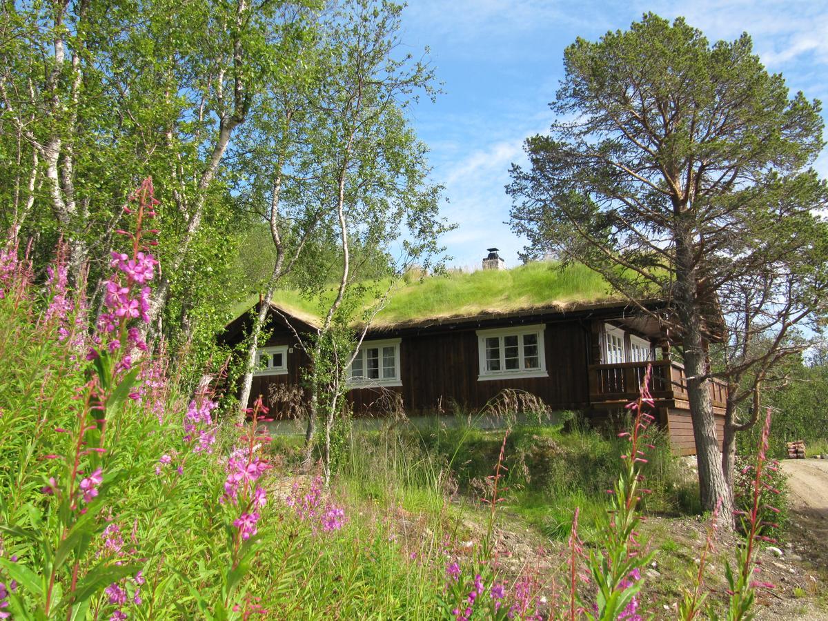 Malangen Lodge Mestervik Bagian luar foto